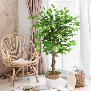 Ficus kunstboom 150 cm