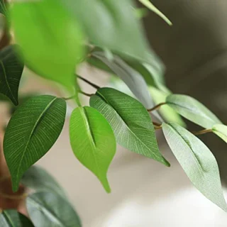 Ficus kunstboom 180 cm