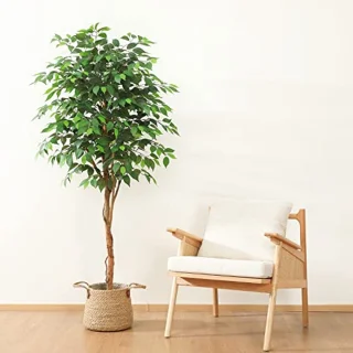 Ficus kunstboom 180 cm