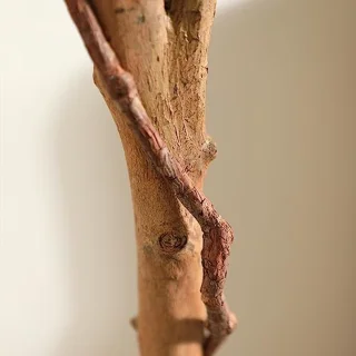 Ficus kunstboom 180 cm