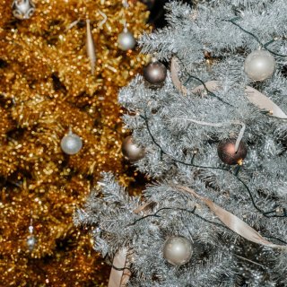 Wat vinden we goed aan de Fjesta Kunstkerstboom 150 cm Zwart