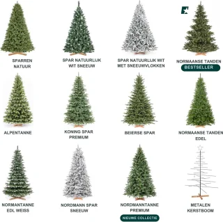FT14/FT15 Nordmanntanne Kunstkerstboom 180 cm PVC Groene Stam Houten Standaard