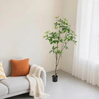 Wat vinden we goed aan de Geldboom - Kunstboom