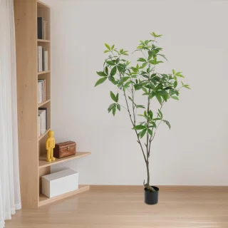 Wat vinden we minder goed