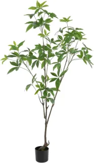 Geldboom kunstboom — altijd groen, zonder zorgen