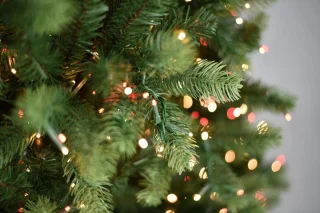 Georgia kunstkerstboom smal 213 cm groen met ledlampjes