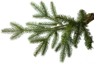 Göteborg Kunstkerstboom 274 cm