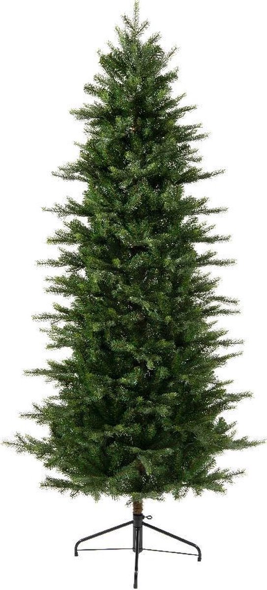 Grandis Slim Fir 1149 Tips Green