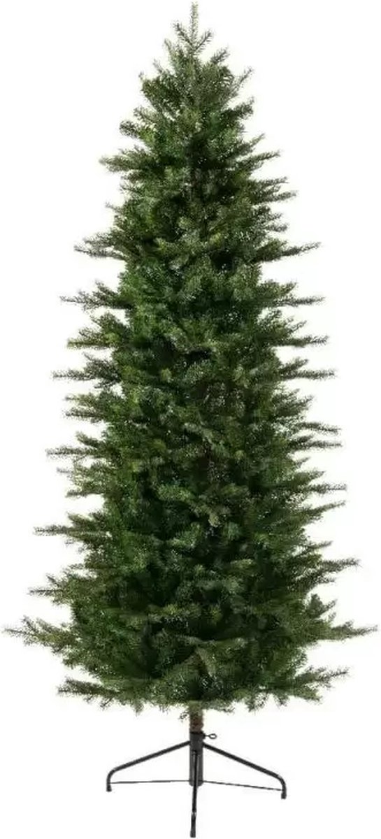 Grandis Slim Fir 1149 Tips Green