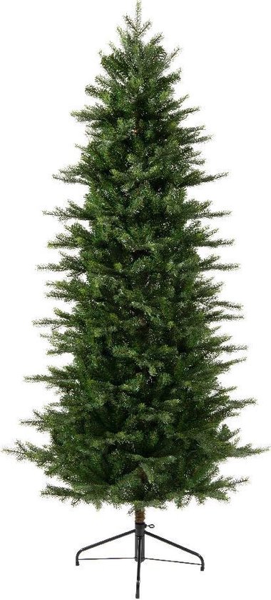 Grandis Slim Fir 1149 Tips Green