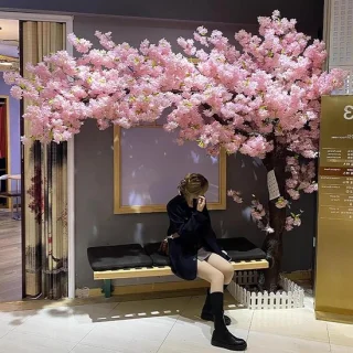 Grote Japanse kunstkersenboom
