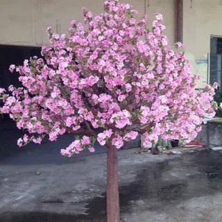 Grote simulatie kersenboom