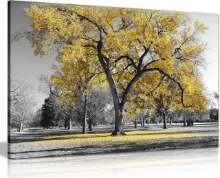 Herfstboom canvas schilderij