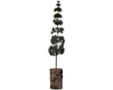 House Doctor Tafelkerstboom Pine – 80 cm