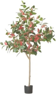 Kamferboom kunstboom