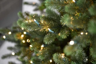 Kentucky Deluxe Kunstkerstboom 228 cm