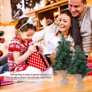 Kerstboom Mini 6st 20/30cm Kunststof met Voet