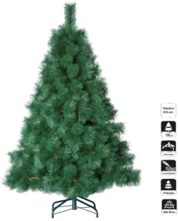 Kerstboom Nebraska