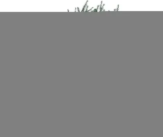 Kerstboom Opberghoes Rood - 122x38x51 / 165x38x76 cm