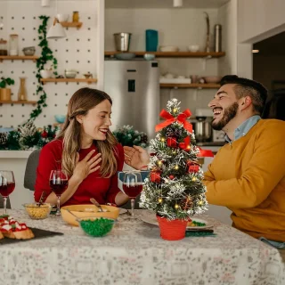 Kerstboom plant - Rood - Plastic - Kunstmatige kerstbloem potdecoratie