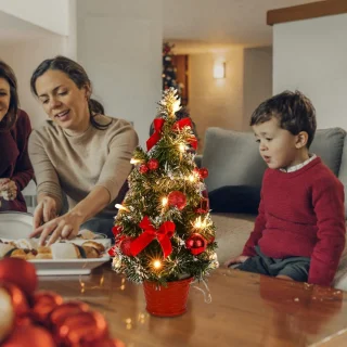 Kerstboom plant - Rood - Plastic - Kunstmatige kerstbloem potdecoratie