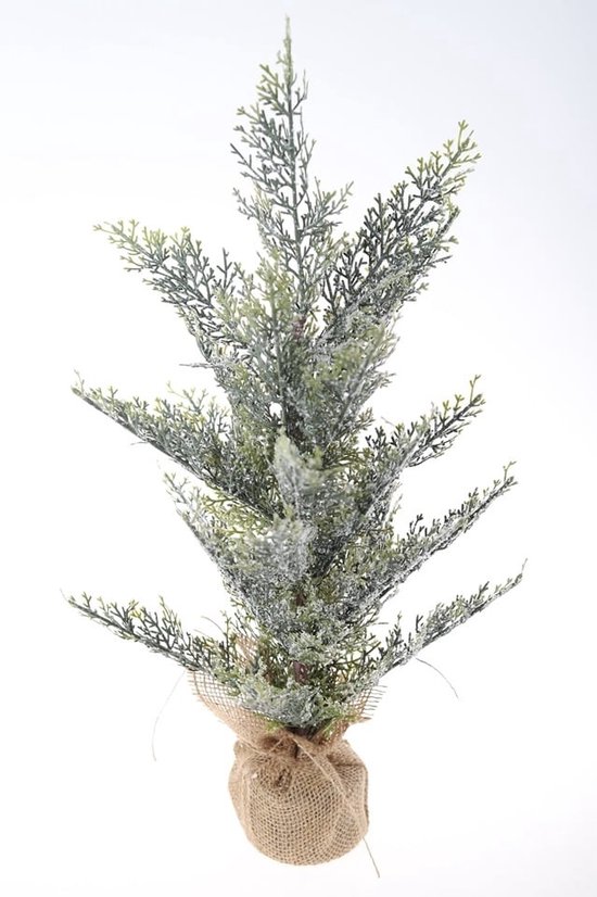 Kerstboompje 50 cm binnen