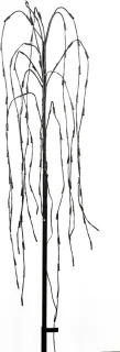 Kerstverlichting Treurwilg LED 130 cm Zwart