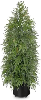 Kleine kunststof cederkerstboom van 90 cm