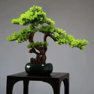 Kunst bonsaiboom - nep pijnboom - woondecoratie