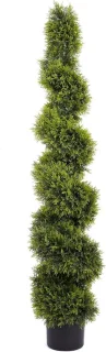 Kunst Ceder Spiraalboom 15 m - Groen