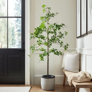 Kunst Olijfboom 15 m Groen