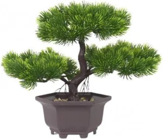 Kunstbonsai Pijnboom - Groen