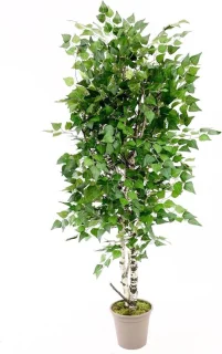 Kunstboom Berken - decoratieboom - 150 cm groen wit