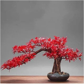 Kunstboom bonsai nep esdoorn 55 x 18 x 40 cm rood