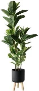 Kunstboom - Decoratieve plant - 161 cm - Groen