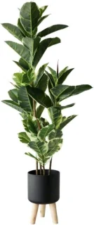 Kunstboom Eik Bonsai 161 cm