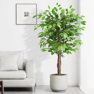 Kunstboom Ficus 150 cm - gebogen stam