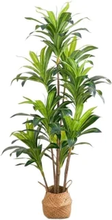 Kunstboom - kunstplant nepboom - 180 cm