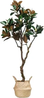 Kunstboom Magnolia - 170 cm - groen