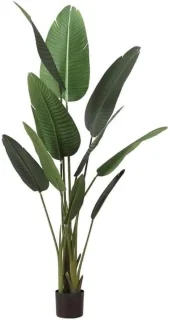 Kunstboom - Nepboom - Binnen decoratie - 160cm hoogte - Groen