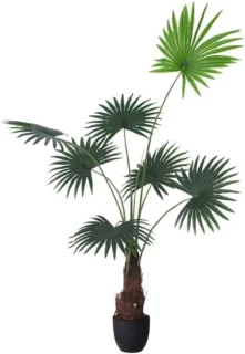 Kunstboom - nepboom kunstplant - natuurlijke stammen - 160 cm - One color