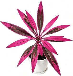 Kunstboom nepplant 52 x 45 cm paars-rood