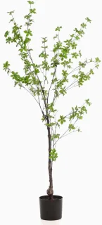 Kunstboom Tuffy 150 cm groen