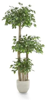 Kunstficus Kunstboom 175 x 80 cm