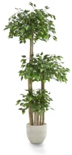 Kunstficus realistische kunstboom 175 x 80 cm