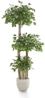 Kunstficus realistische kunstboom 175 x 80 cm