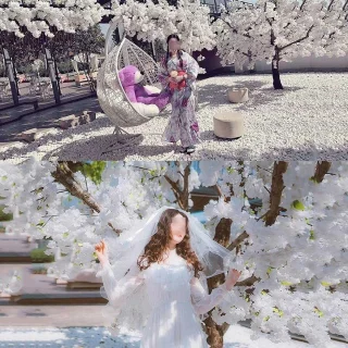 Wat vinden we goed aan de Kunstkersenboom Bloesemboom 2 x 1,5 m Roze/wit