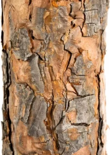 Kunstkerstboom 180 cm
