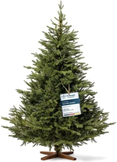 Kunstkerstboom - 180 cm