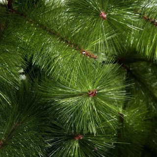 Kunstkerstboom 210 cm